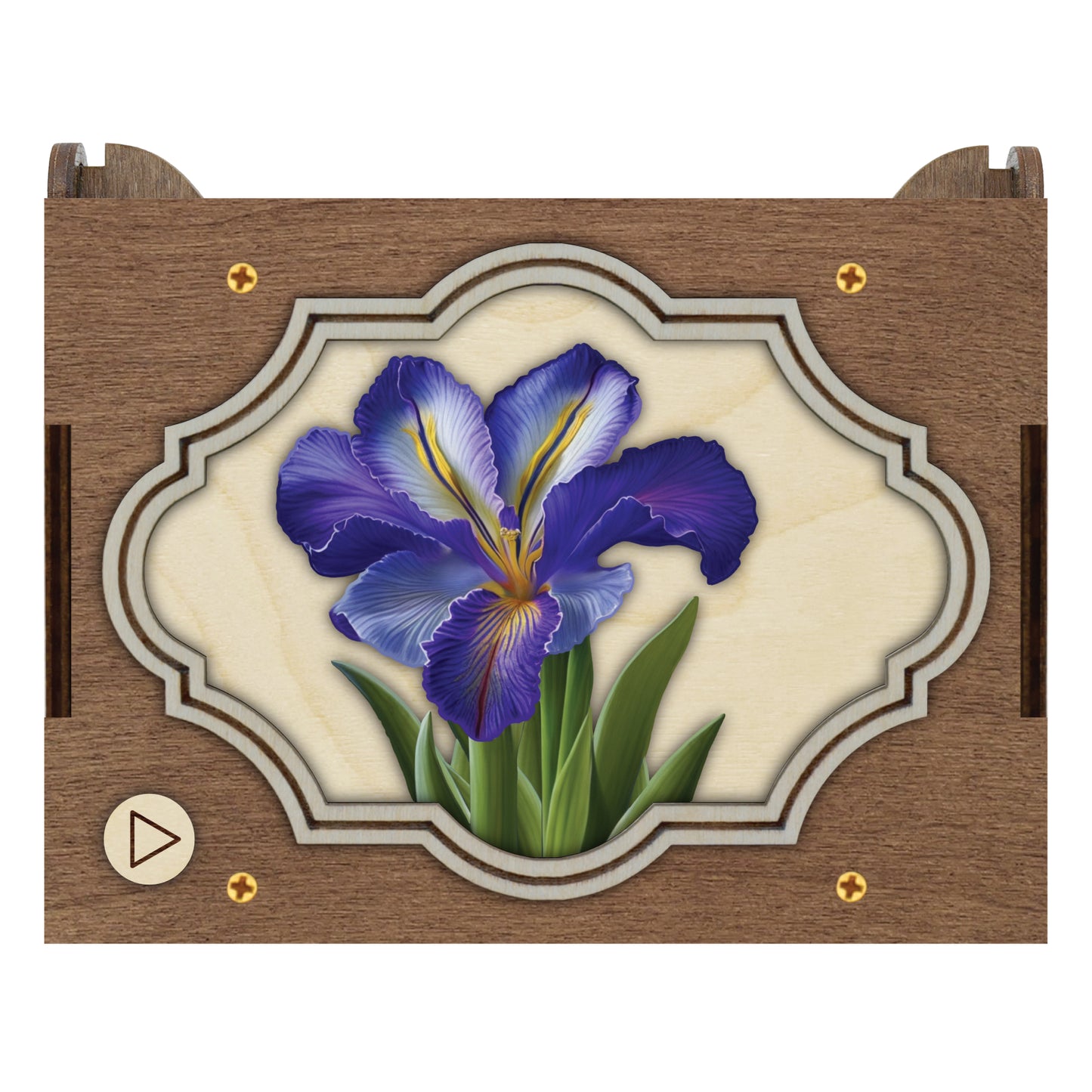 Colorful Iris Music Box