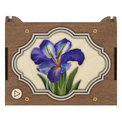 Colorful Iris Music Box