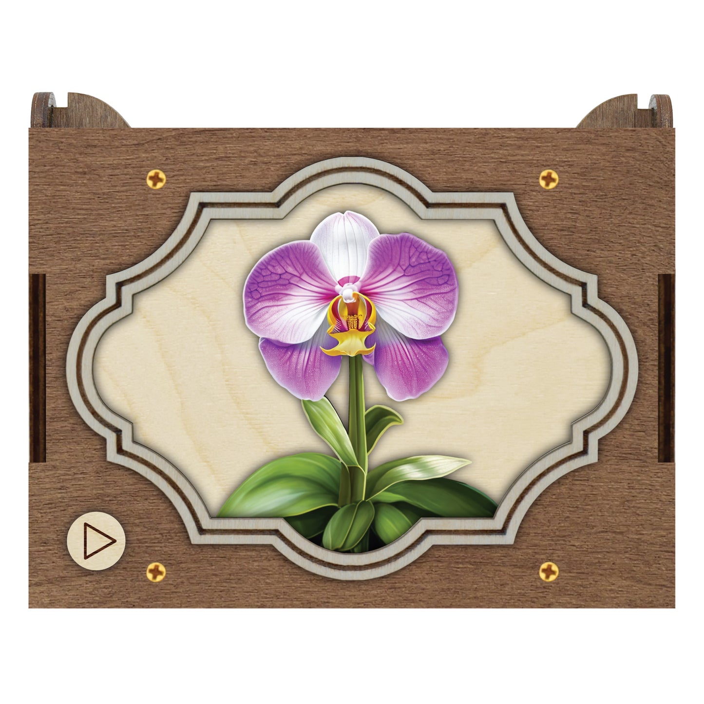 Colorful Orchid Music Box