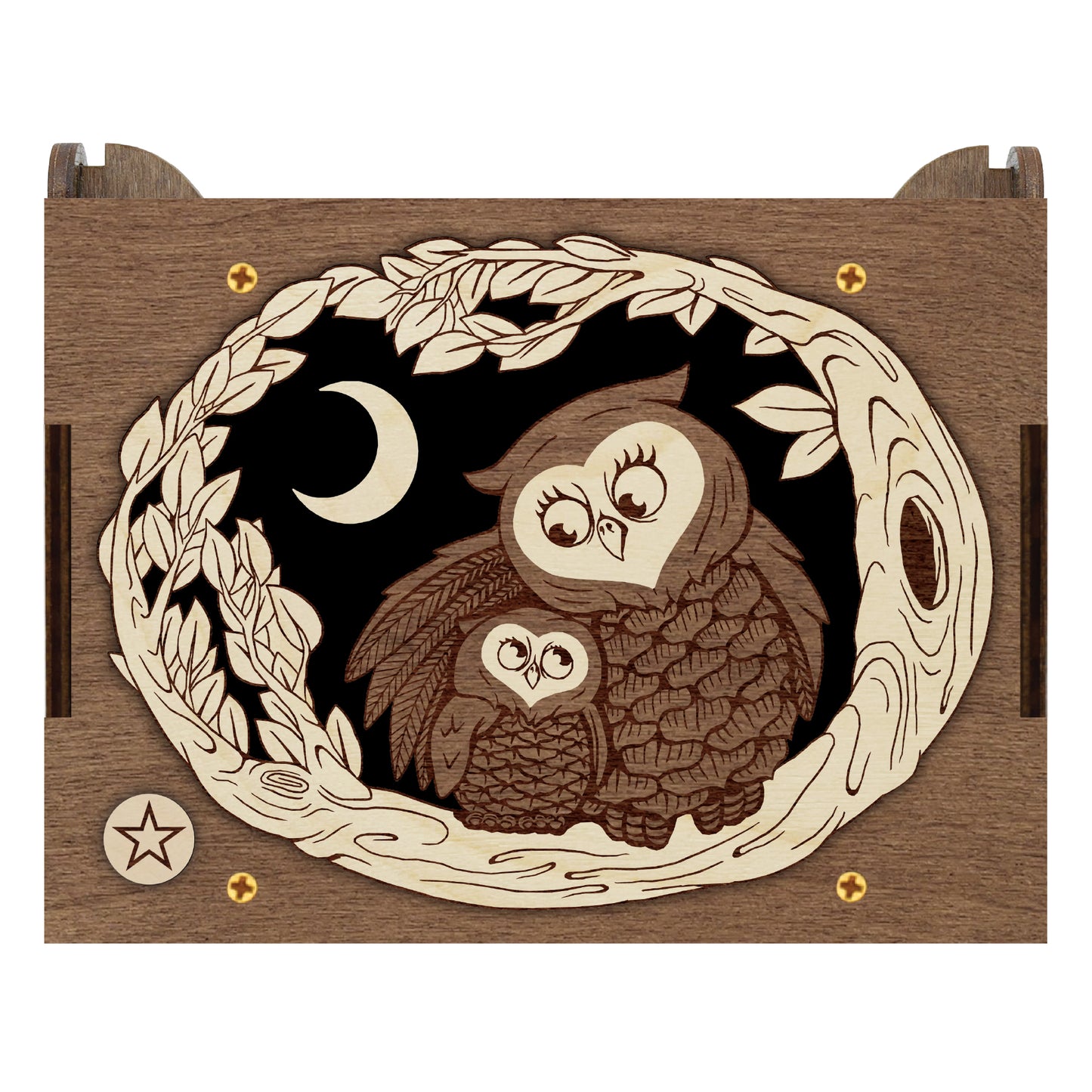 Engraved Mother and Baby Owl MP3 Music Box