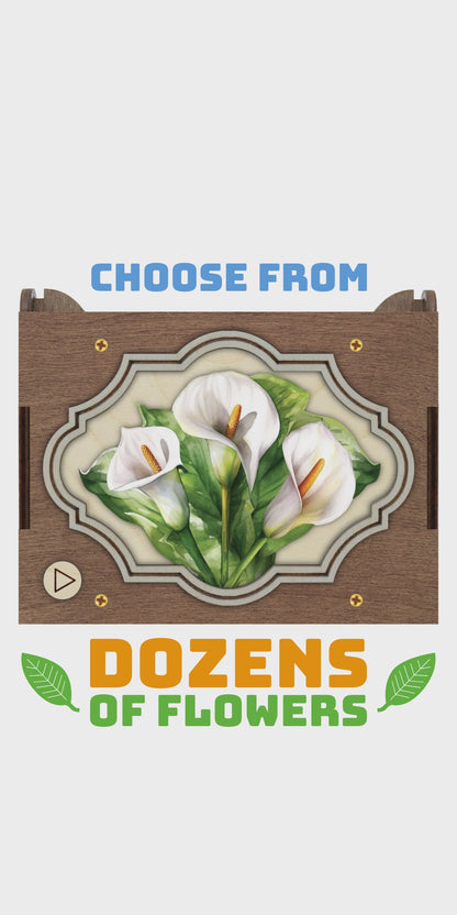 Flower MP3 Music Box, 21 Flower Choices