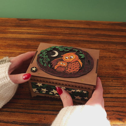 Colorful Mother and Baby Owl Music Box