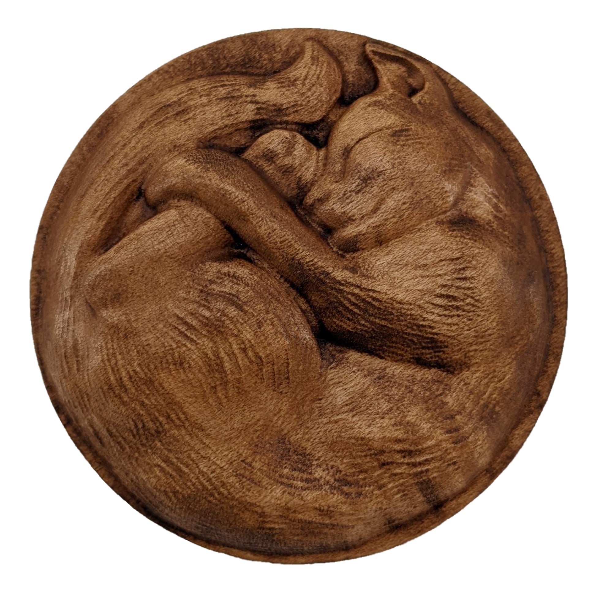 Round wooden box 3D carved with a short haired cat with textured fur curled up into a ball sleeping. It has a peaceful rested expression on its face and legs all crossed together. Made from hard maple wood stained brown against a white background.