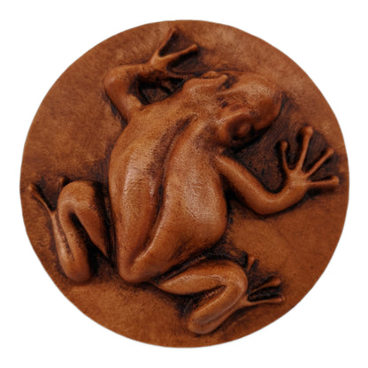 Round wooden box 3D carved with a tree frog in a clinging position. It has smooth skin and long skinny limbs and hands with bulbous fingertips Made from hard maple wood with a brown stain against a white background. Front view.